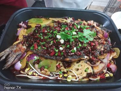 正宗烤魚技術(shù)培訓(xùn)，一條魚火一座城