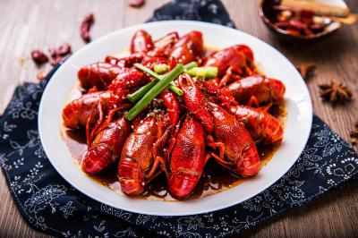 小龍蝦訓(xùn)練哪里滋味好?名師教育，不走彎路