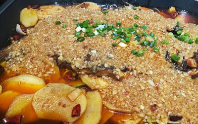 想學(xué)蒜香烤魚哪里可以培訓(xùn)？