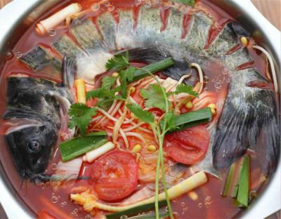 成都火鍋魚技術(shù)培訓(xùn)學(xué)校哪家正規(guī)？