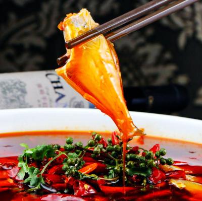 耗兒魚技術(shù)培訓(xùn)在哪里學(xué)？