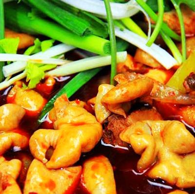 肥腸雞技術(shù)培訓(xùn)要去哪里學(xué)？